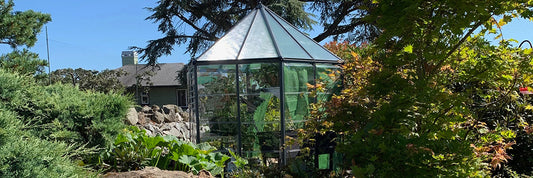 Kate's Oasis Greenhouse Project