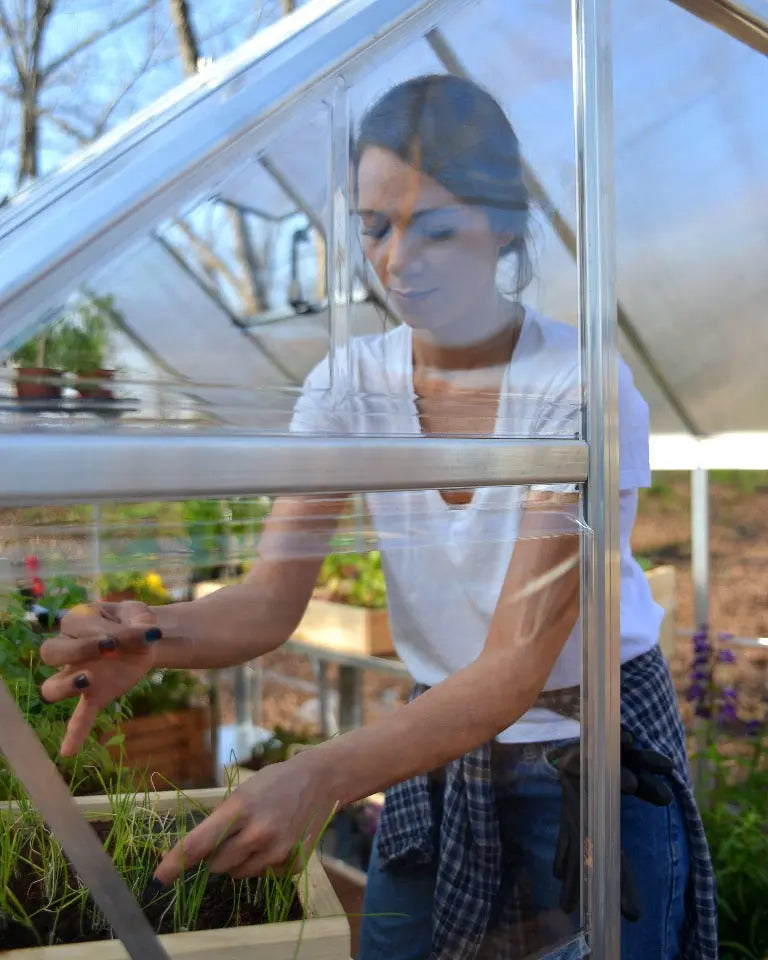 Balance® 8 ft. x 16 ft. Greenhouse Silver Frame Clear & TwinWall Panels | Palram-Canopia 8' Wide Balance Canopia by Palram