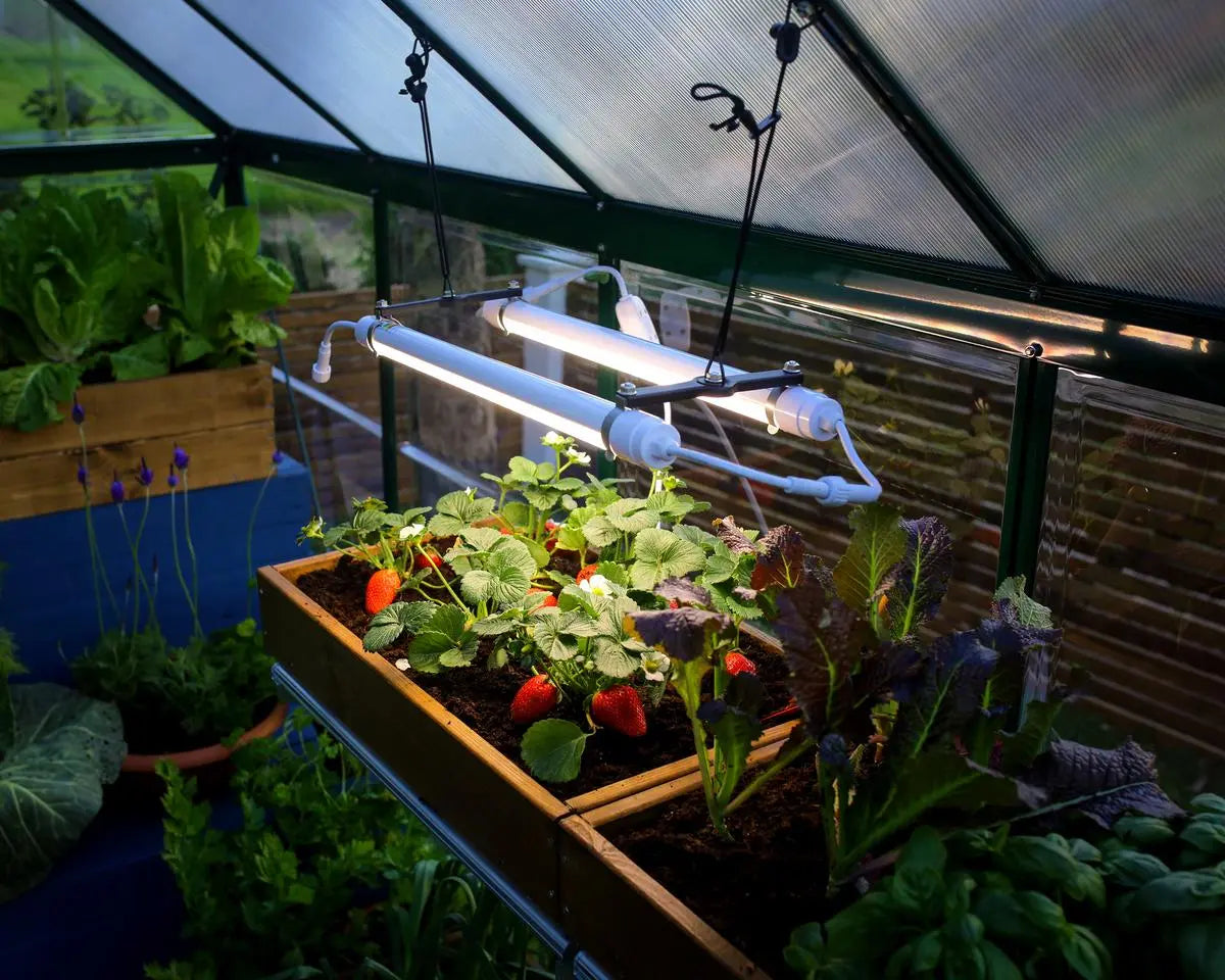 Brighton Full Spectrum LED Grow Light by | Palram-Canopia Greenhouse Accessories Canopia by Palram