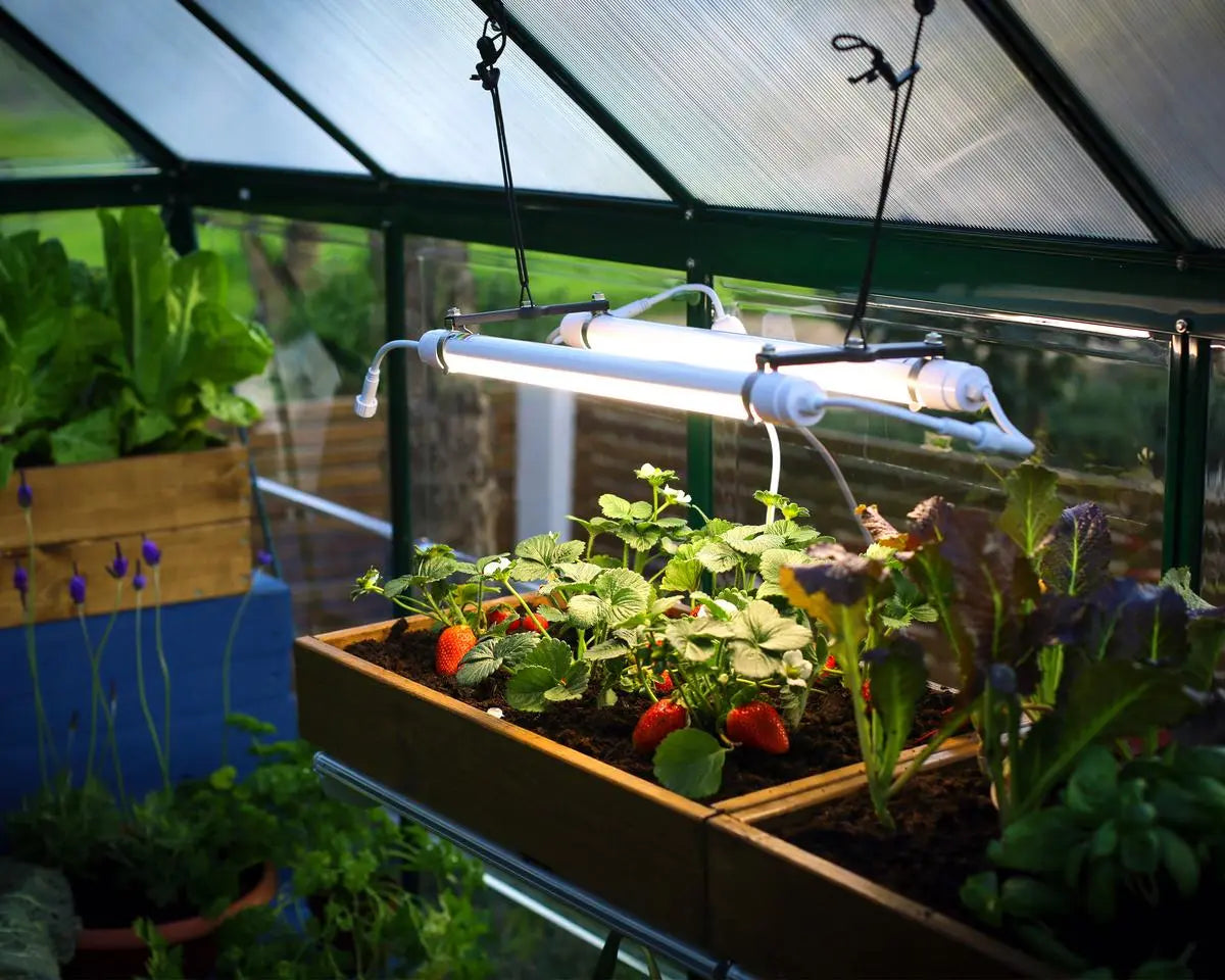 Brighton Full Spectrum LED Grow Light by | Palram-Canopia Greenhouse Accessories Canopia by Palram