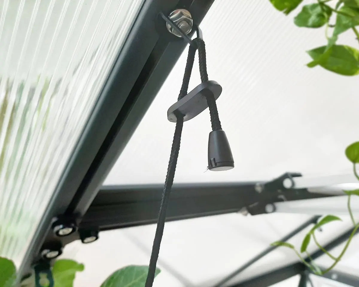 Brighton Full Spectrum LED Grow Light by | Palram-Canopia Greenhouse Accessories Canopia by Palram