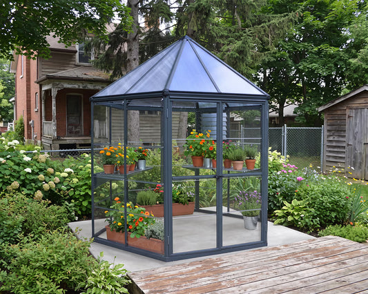 Oasis 8 ft. Hexagonal Greenhouse | Palram-Canopia Oasis Canopia by Palram
