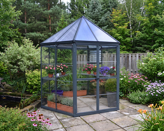 Oasis 8 ft. Hexagonal Greenhouse | Palram-Canopia Oasis Canopia by Palram