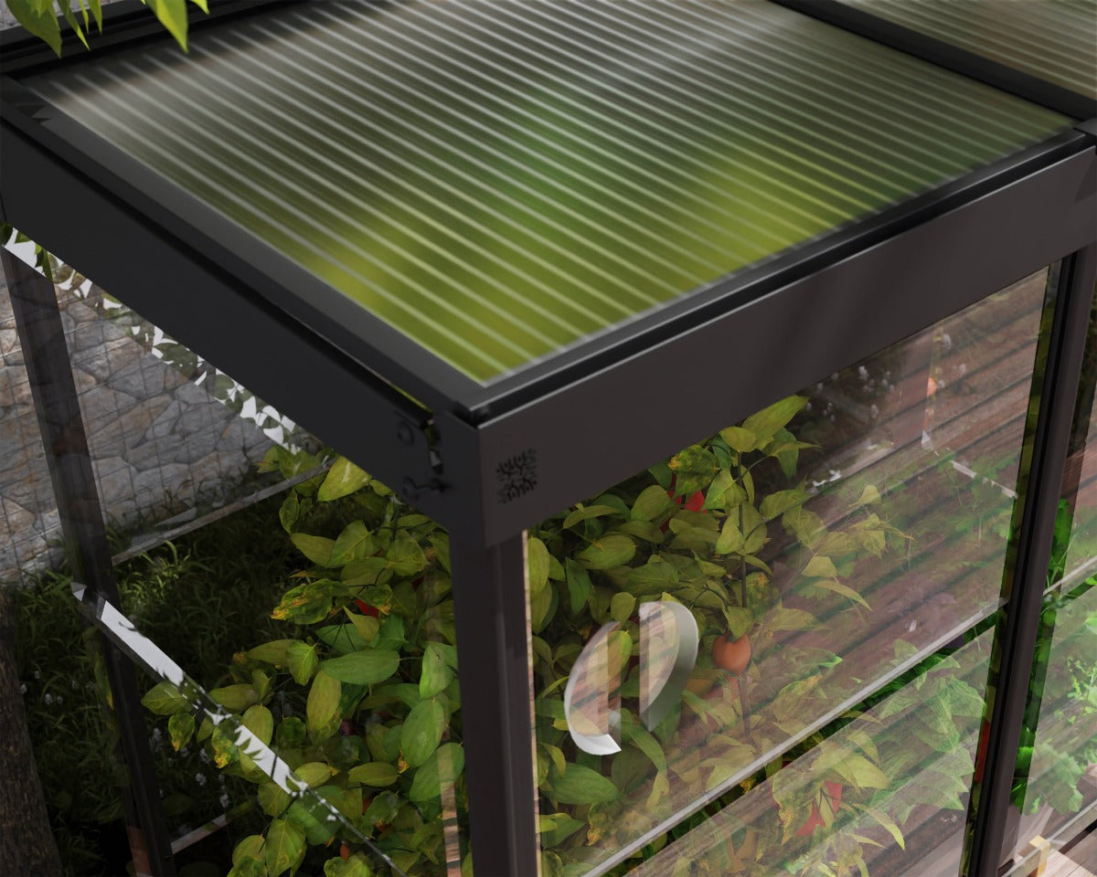 Ivy 4 ft. x 2 ft. Mini Greenhouse Kit - Black Structure & Clear Glazing 4' Wide Lean-to Canopia by Palram