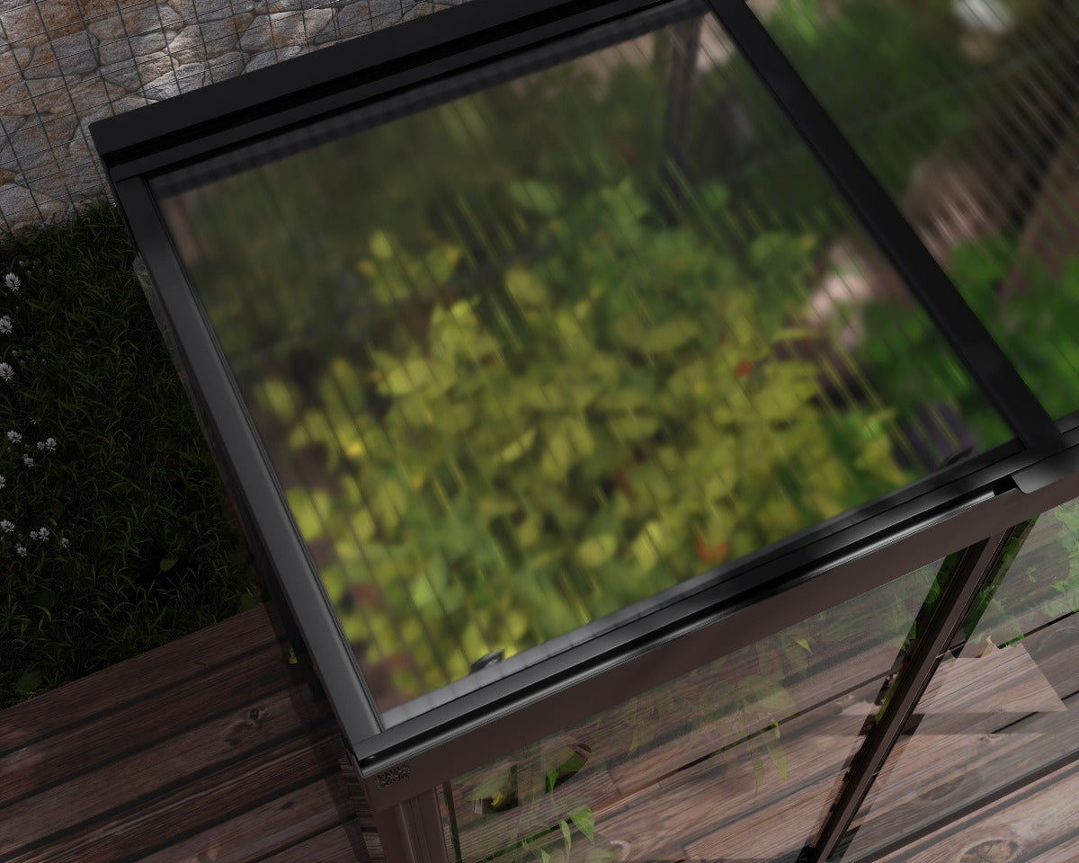 Ivy 4 ft. x 2 ft. Mini Greenhouse Kit - Black Structure & Clear Glazing 4' Wide Lean-to Canopia by Palram
