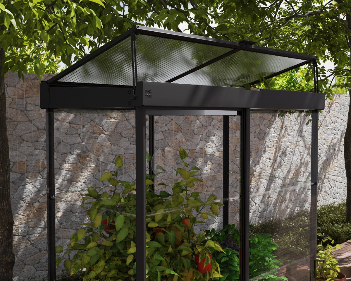 Ivy 4 ft. x 2 ft. Mini Greenhouse Kit - Black Structure & Clear Glazing 4' Wide Lean-to Canopia by Palram   
