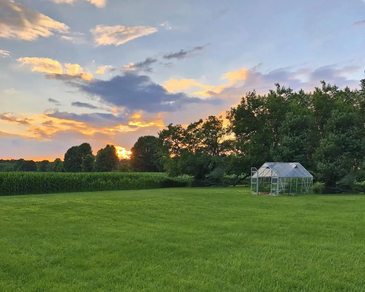 Balance® 8 ft. x 12 ft. Greenhouse Silver Frame Clear & TwinWall Panels | Palram-Canopia 8' Wide Balance Canopia by Palram