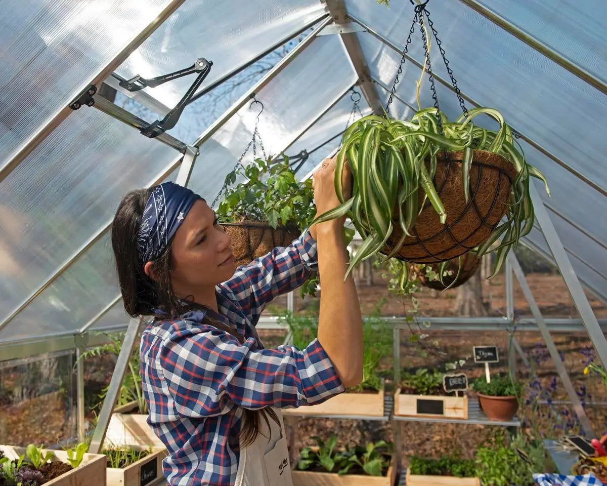 Balance® 8 ft. x 12 ft. Greenhouse Silver Frame Clear & TwinWall Panels | Palram-Canopia 8' Wide Balance Canopia by Palram