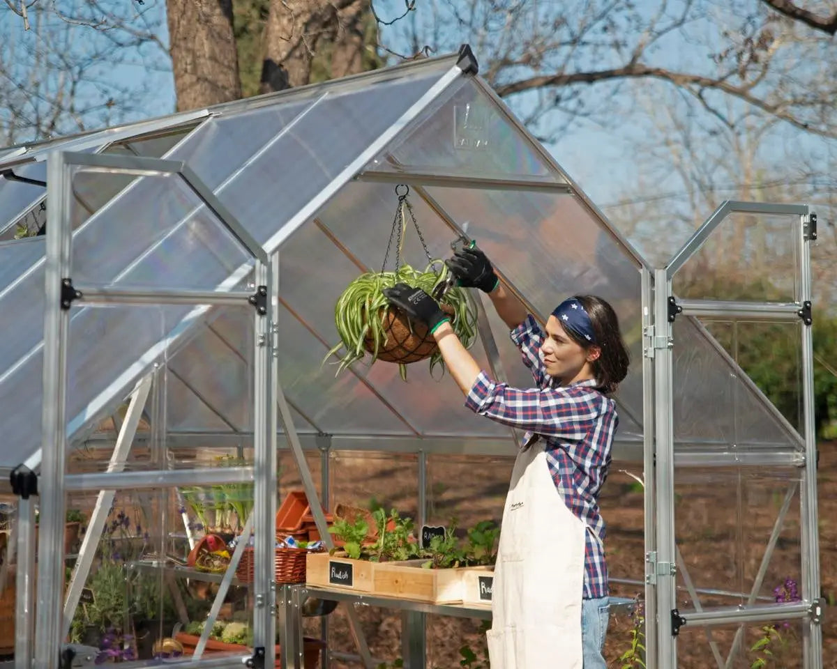 Balance® 8 ft. x 12 ft. Greenhouse Silver Frame Clear & TwinWall Panels | Palram-Canopia 8' Wide Balance Canopia by Palram