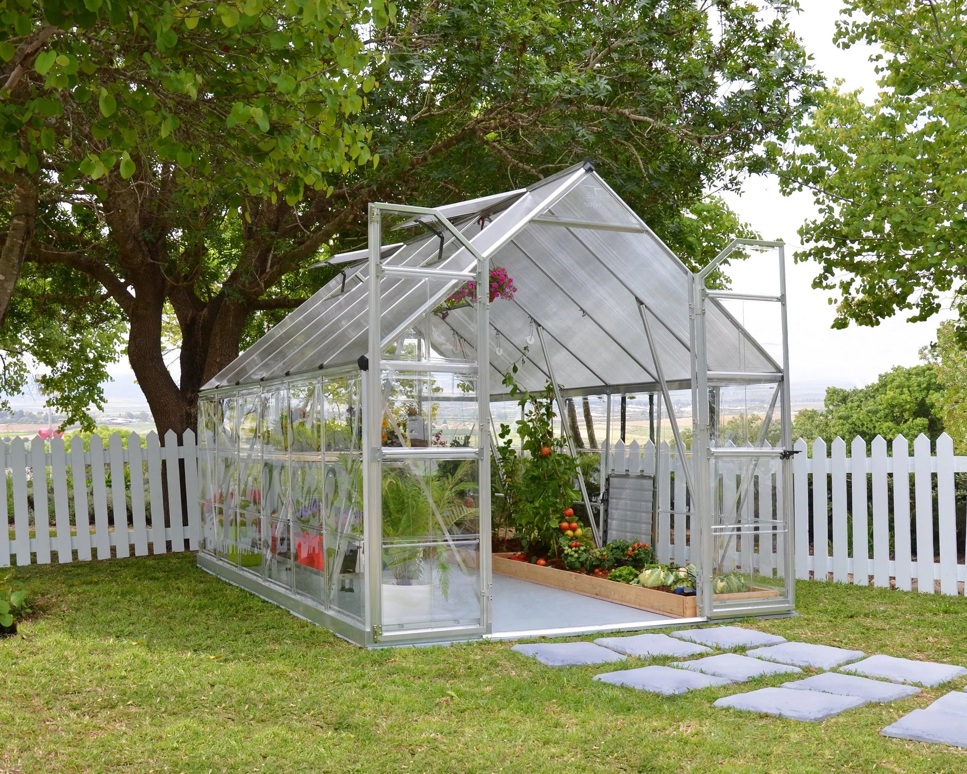 Balance® 8 ft. x 12 ft. Greenhouse Silver Frame Clear & TwinWall Panels | Palram-Canopia 8' Wide Balance Canopia by Palram