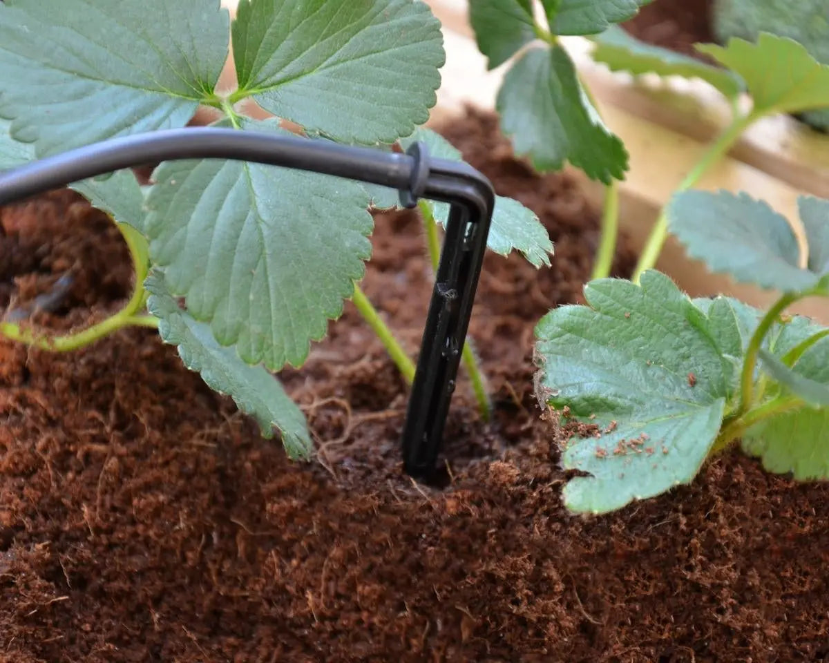 Drip Irrigation Kits for Greenhouses | Palram-Canopia Greenhouse Accessories Canopia by Palram