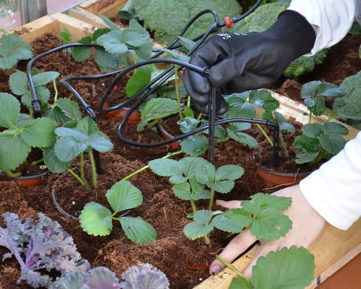 Drip Irrigation Kits for Greenhouses | Palram-Canopia Greenhouse Accessories Canopia by Palram