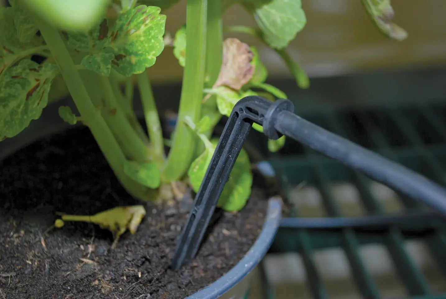 Drip Irrigation Kits for Greenhouses | Palram-Canopia Greenhouse Accessories Canopia by Palram