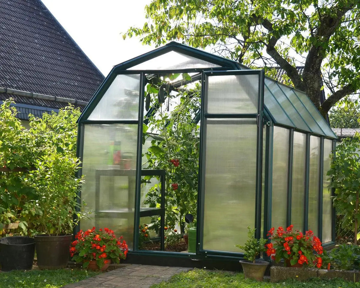 EcoGrow ~6ft. x 8ft Greenhouse Twin-Wall Panels Green Frame | Rion by Palram-Canopia 6' Wide EcoGrow Canopia by Palram
