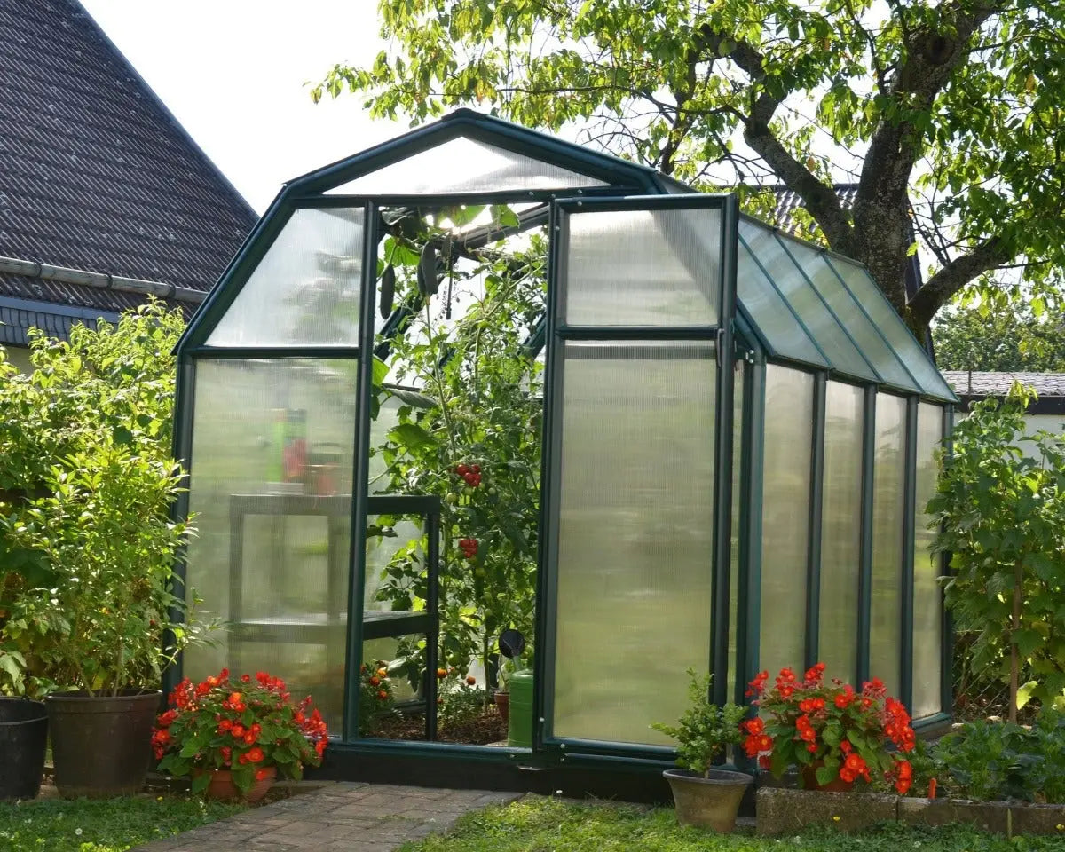EcoGrow ~6ft. x 8ft Greenhouse Twin-Wall Panels Green Frame | Rion by Palram-Canopia 6' Wide EcoGrow Canopia by Palram