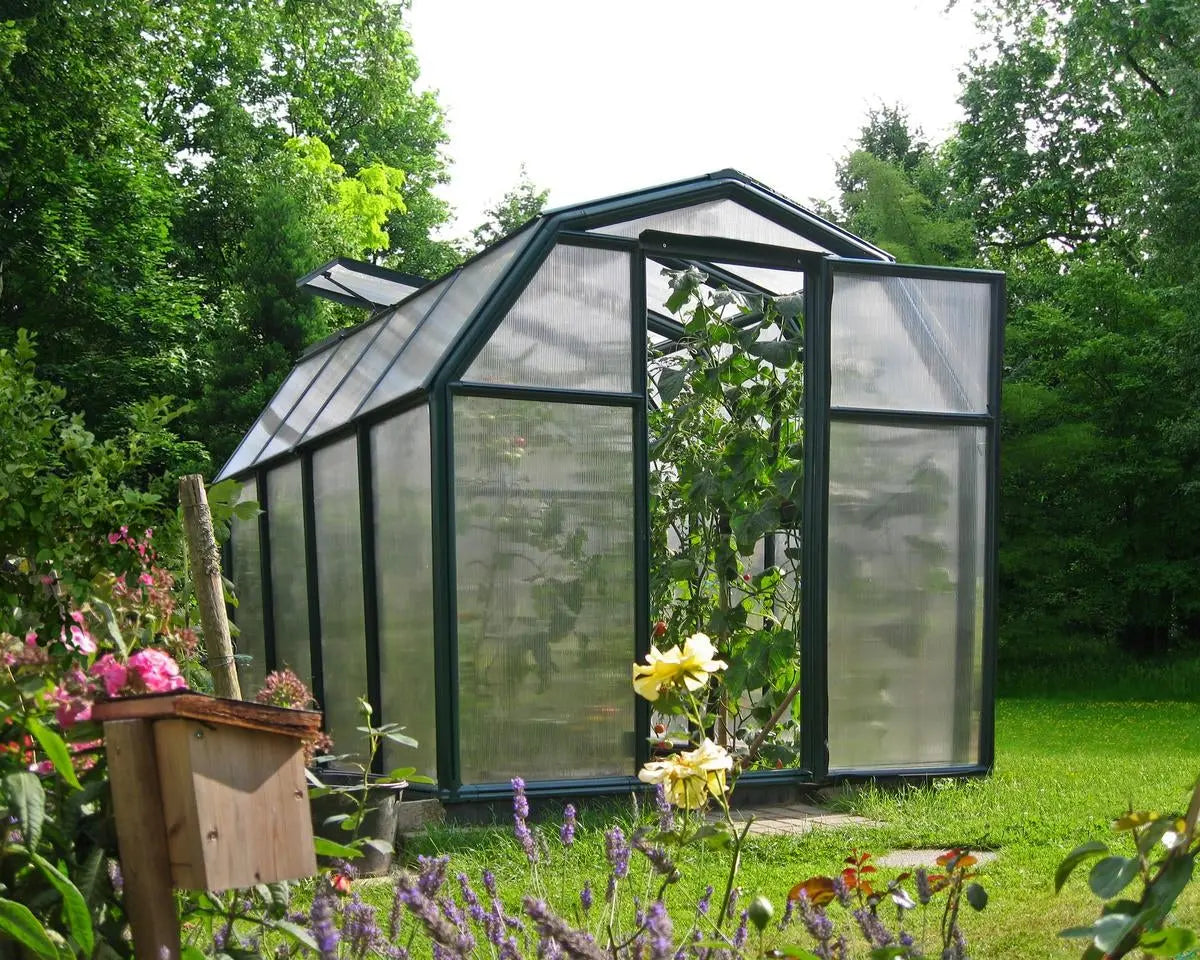 EcoGrow ~6ft. x 8ft Greenhouse Twin-Wall Panels Green Frame | Rion by Palram-Canopia 6' Wide EcoGrow Canopia by Palram   