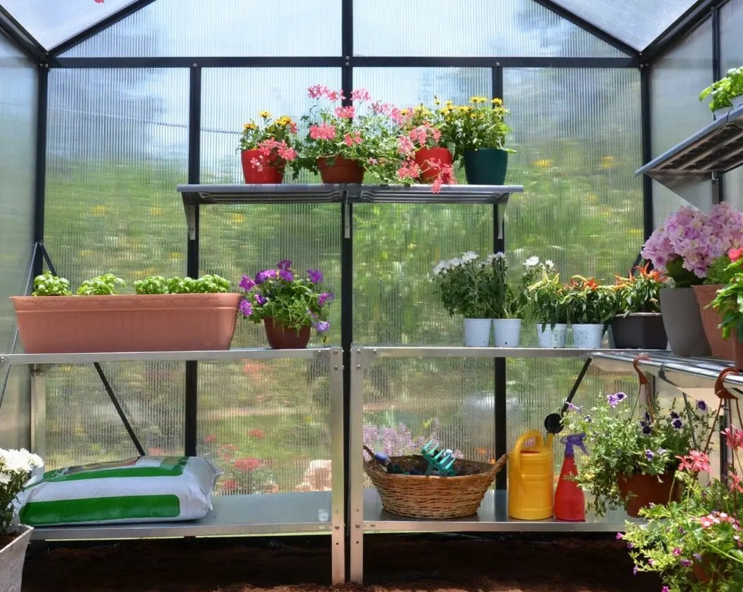 Glory® 8 ft. x 12 ft. Greenhouse with 10mm TwinWall Glazing | Palram-Canopia - Twin-Wall Polycarbonate Panels