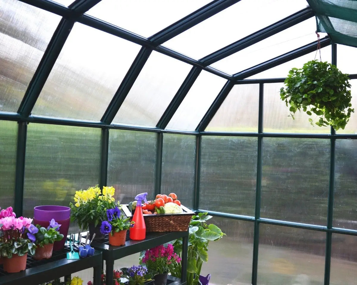 Grand Gardener® ~8 ft. x 12 Greenhouse | Rion by Palram-Canopia 8' Wide Grand Gardener Canopia by Palram