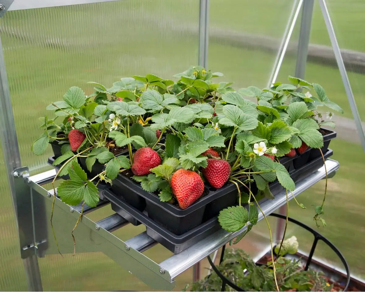 Heavy Duty Metal Shelf Kit | Palram-Canopia Greenhouse Accessories Canopia by Palram