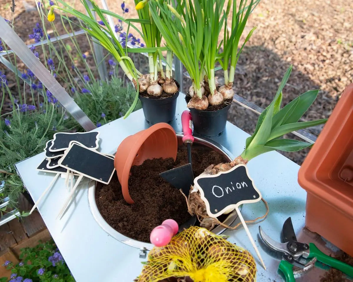 Balance® 8 ft. x 16 ft. Greenhouse Silver Frame Clear & TwinWall Panels | Palram-Canopia 8' Wide Balance Canopia by Palram