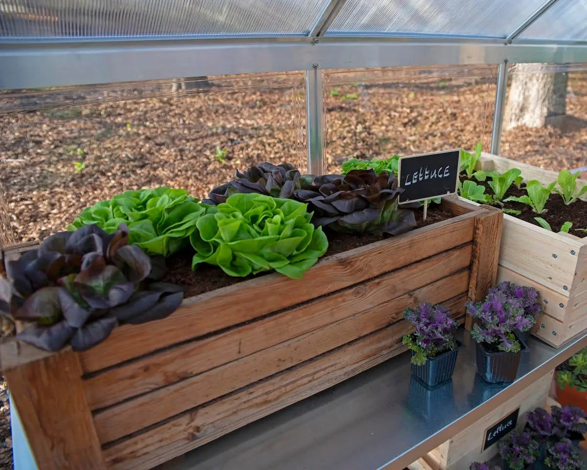 Balance® 8 ft. x 16 ft. Greenhouse Silver Frame Clear & TwinWall Panels | Palram-Canopia 8' Wide Balance Canopia by Palram