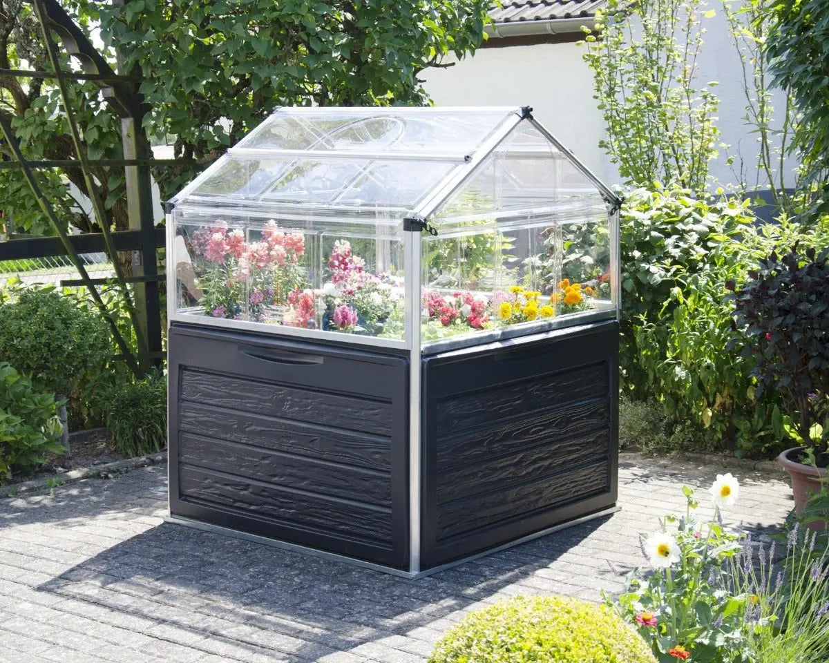 Plant Inn® - Clear | Palram-Canopia Cold Frames & Raised Gardens Canopia by Palram