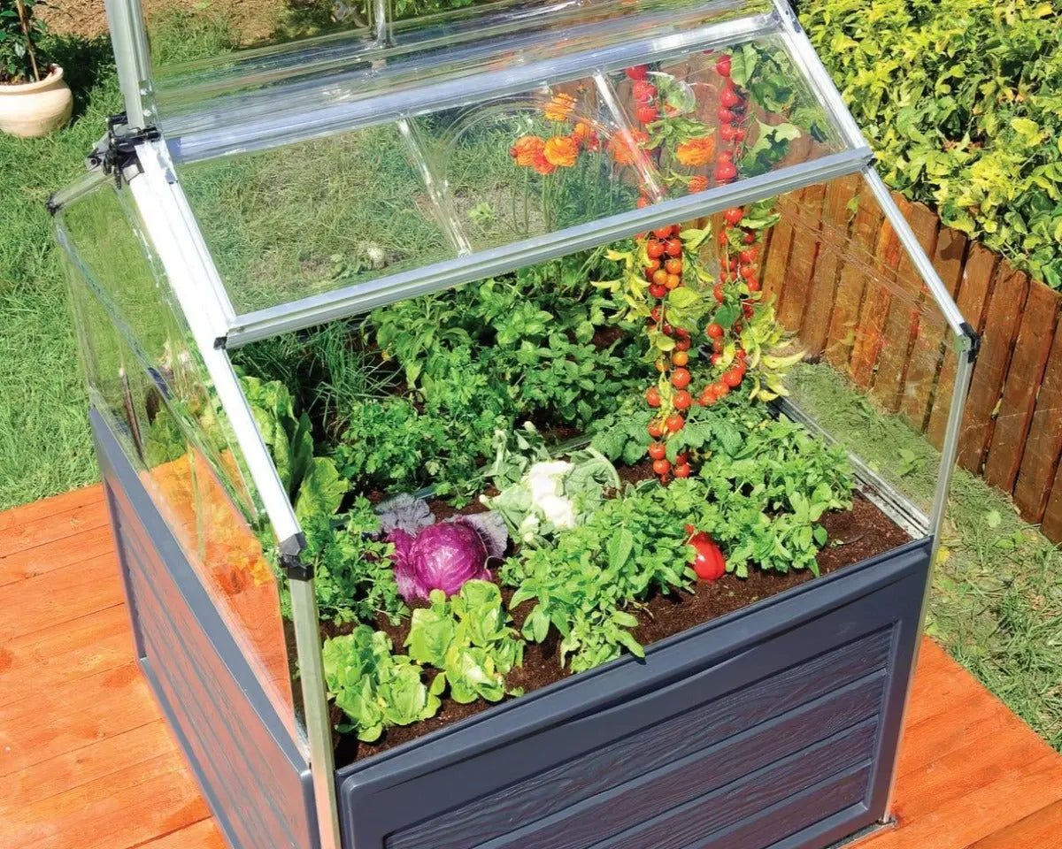 Plant Inn® - Clear | Palram-Canopia Cold Frames & Raised Gardens Canopia by Palram