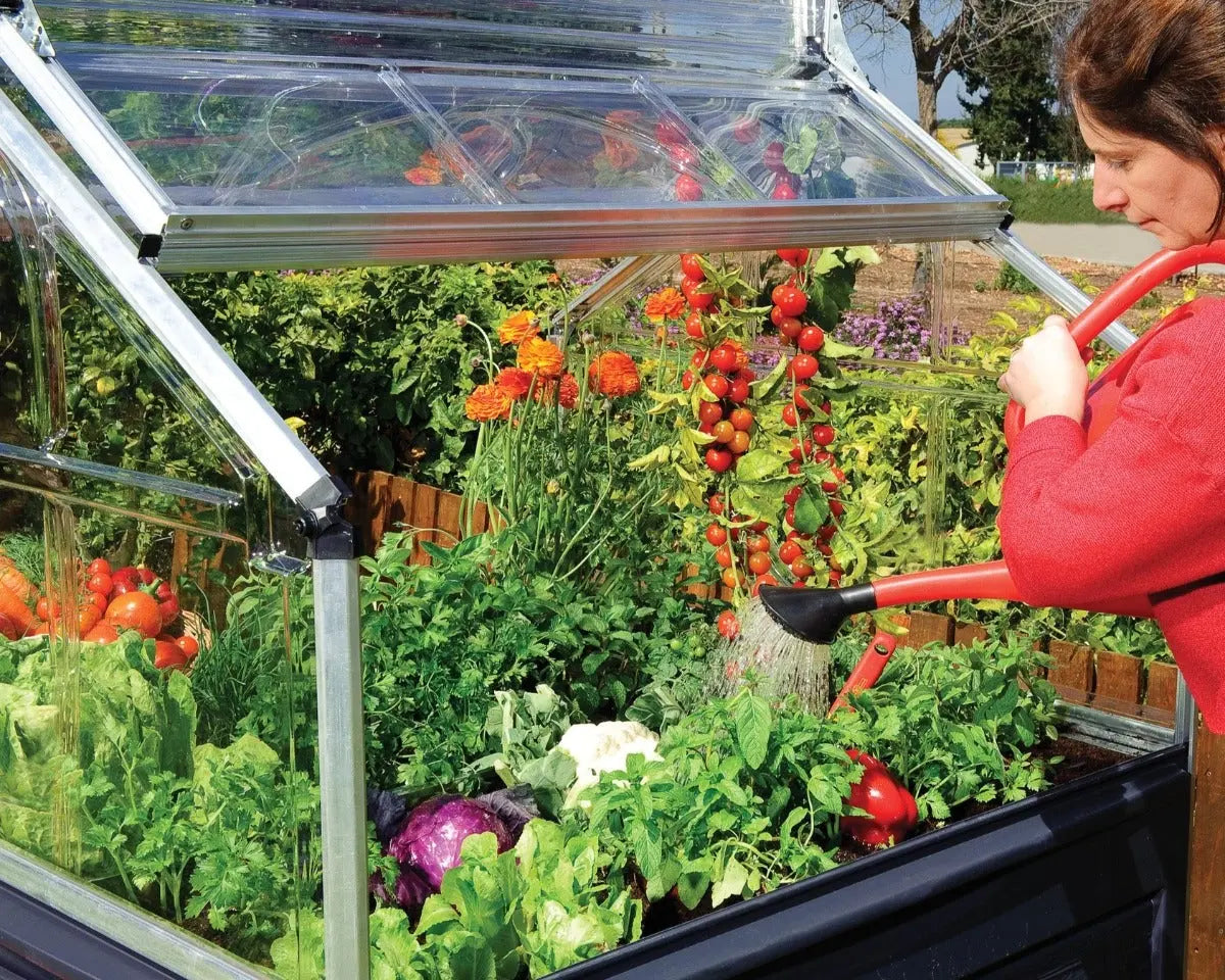Plant Inn® - Clear | Palram-Canopia Cold Frames & Raised Gardens Canopia by Palram