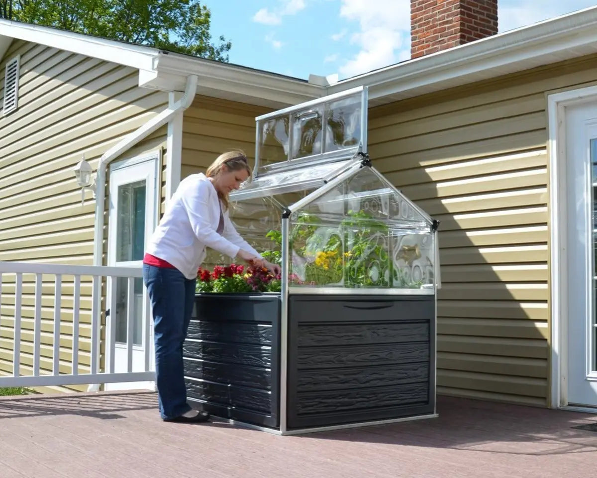 Plant Inn® - Clear | Palram-Canopia Cold Frames & Raised Gardens Canopia by Palram