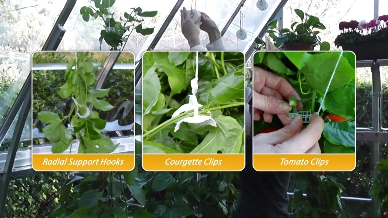 Trellising Kit Pro for Greenhouses | Palram-Canopia Greenhouse Accessories Canopia by Palram