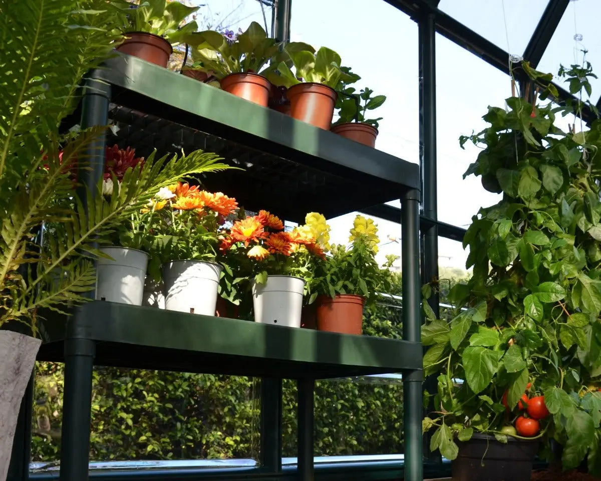 Two Tier Staging Bench for Greenhouses Greenhouse Accessories Canopia by Palram