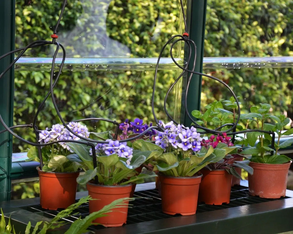 Two Tier Staging Bench for Greenhouses Greenhouse Accessories Canopia by Palram