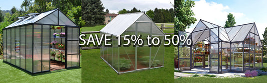 Summer sale 2025