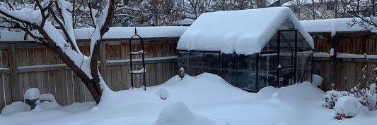 winter snow in canada