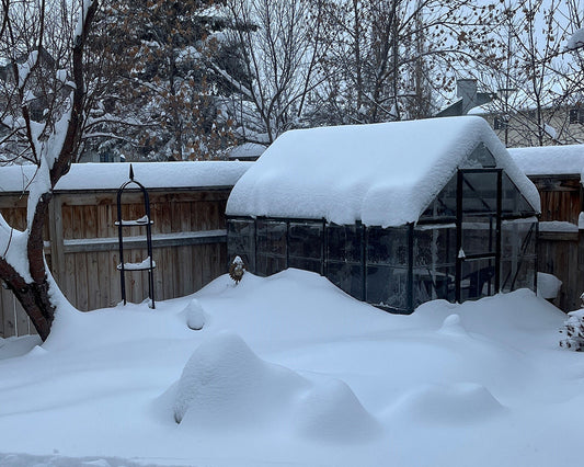 Palram-Canopia greenhouse under heavy snow load in a Canadian backyard