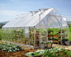 Balance® 10 ft. x 20 ft. Greenhouse Silver Frame Clear & Twin-Wall Panels | Palram-Canopia Canopia by Palram
