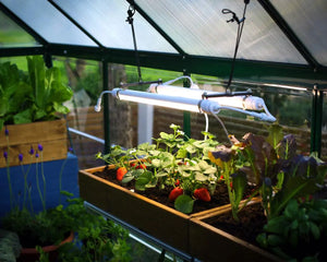 Brighton Full Spectrum LED Grow Light by | Palram-Canopia Canopia by Palram