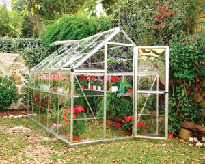 Harmony 6 ft. x 10 ft. Greenhouse Clear Panels Silver Frame | Palram-Canopia Canopia by Palram