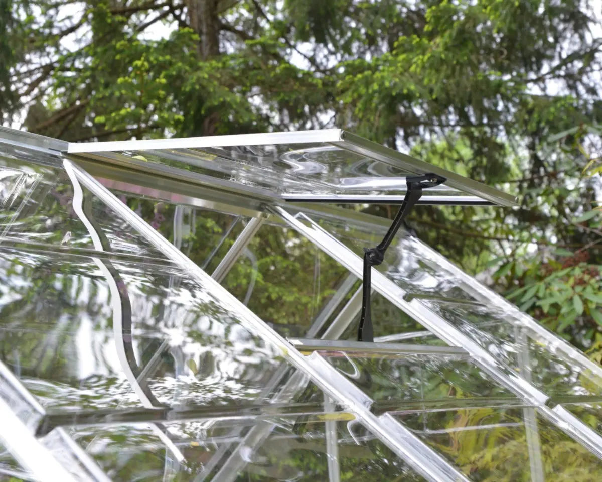 Harmony™ 6 ft. x 10 ft. Greenhouse Clear Panels Silver Frame | Palram-Canopia 6' Wide Harmony Canopia by Palram   