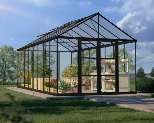 Palram-Canopia Greenhouses ARIA_10x20 Black Frame Clear Panels
