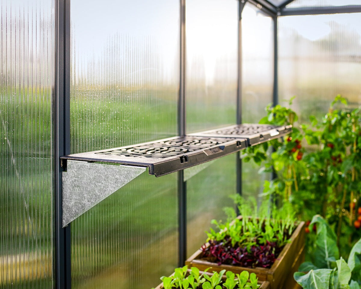 Signature Shelf Kit set of 2 Resin Shelves | Palram-Canopia Greenhouse Accessories Canopia by Palram   