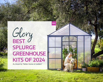 Glory® 8 ft. x 20 ft. Greenhouse with 10mm TwinWall Glazing | Palram-Canopia 8' Wide - 10mm Glory Canopia by Palram   