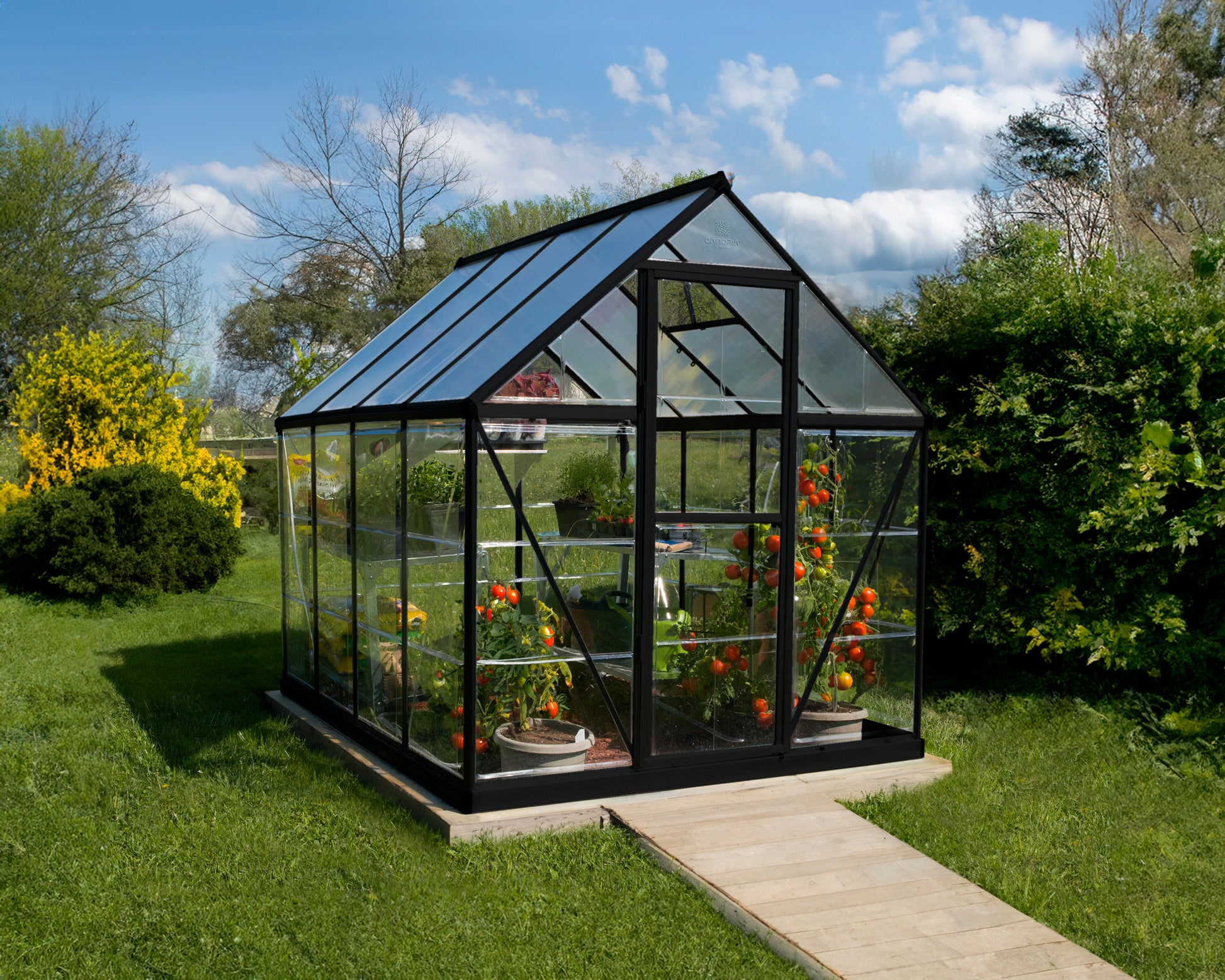 Hybrid™ 6 ft. x 8 ft. Greenhouse Clear & Twin Wall Panels Black Frame | Palram-Canopia 6' Wide Hybrid Canopia by Palram   