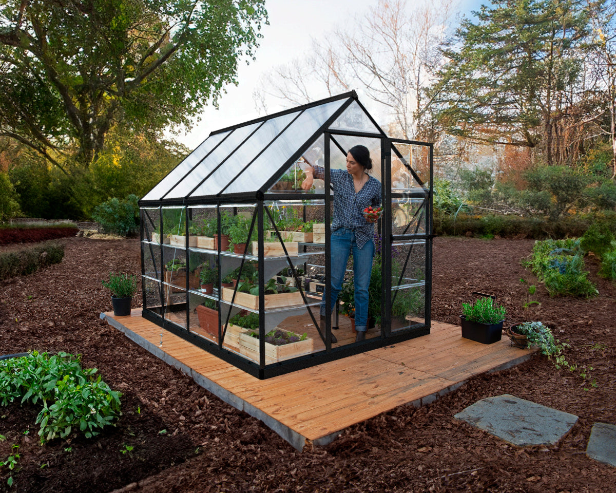 プレーヤー GREENHOUSE Hybrid 6 ft. x 8 ft. Greenhouse Black Frame | Palram-Canopia