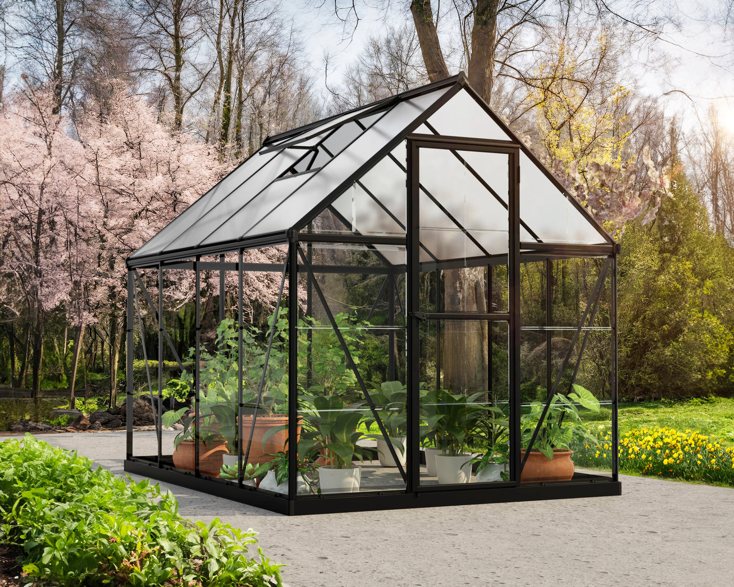 Hybrid™ 6 ft. x 8 ft. Greenhouse Clear & Twin Wall Panels Black Frame | Palram-Canopia 6' Wide Hybrid Canopia by Palram   