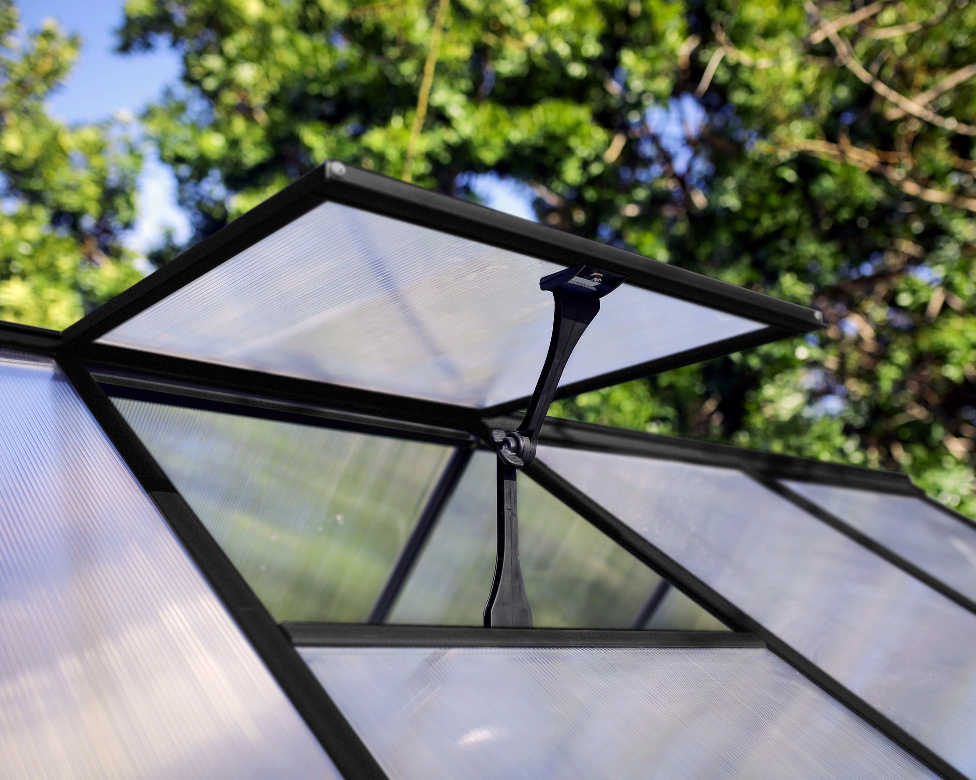 Hybrid™ 6 ft. x 8 ft. Greenhouse Clear & Twin Wall Panels Black Frame | Palram-Canopia 6' Wide Hybrid Canopia by Palram   