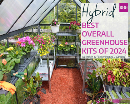 Hybrid™ 6 ft. x 8 ft. Greenhouse Clear & Twin Wall Panels Black Frame | Palram-Canopia 6' Wide Hybrid Canopia by Palram   
