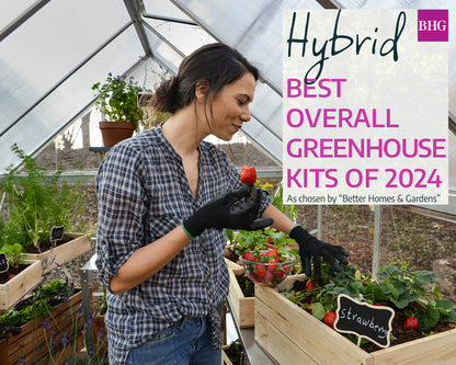 Hybrid™ 6 ft. x 4 ft. Greenhouse Clear & Twin Wall Silver Frame | Palram-Canopia 6' Wide Hybrid Canopia by Palram   