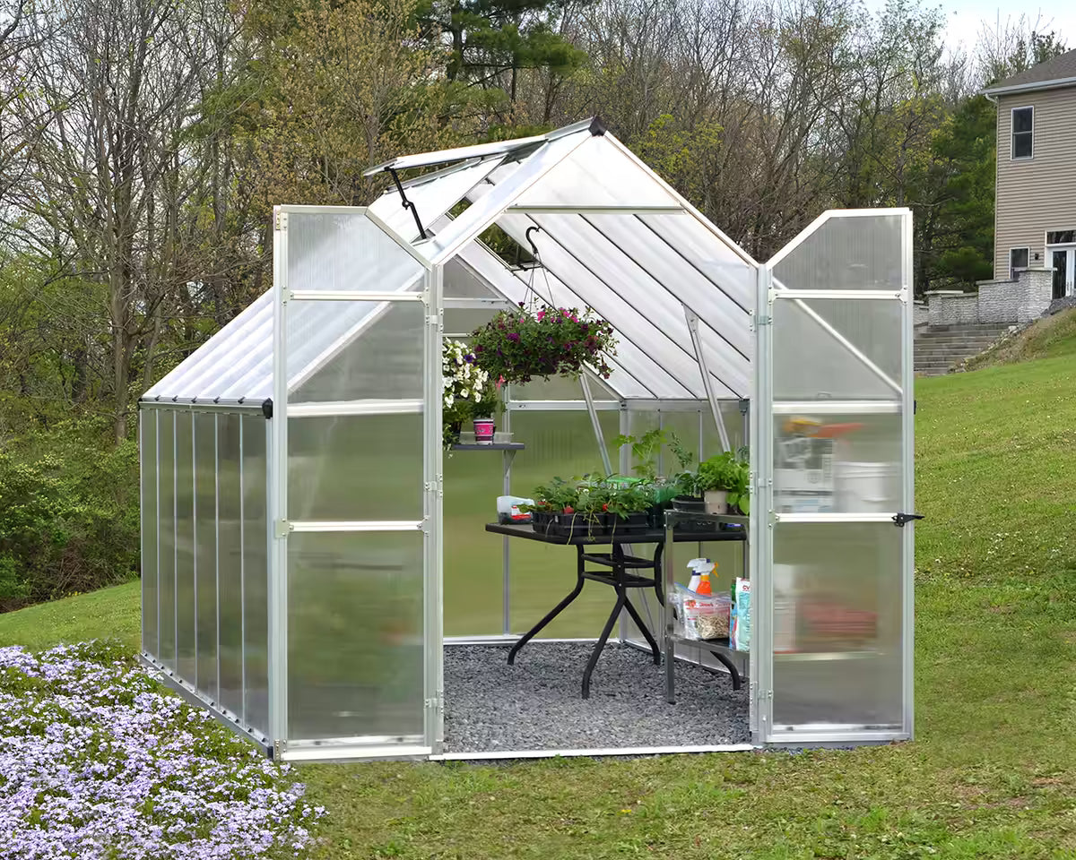 Essence™ 8 ft. x 12 ft. Greenhouse Silver Frame Twin-Wall Panels | Palram-Canopia 8' Wide Essence Canopia by Palram