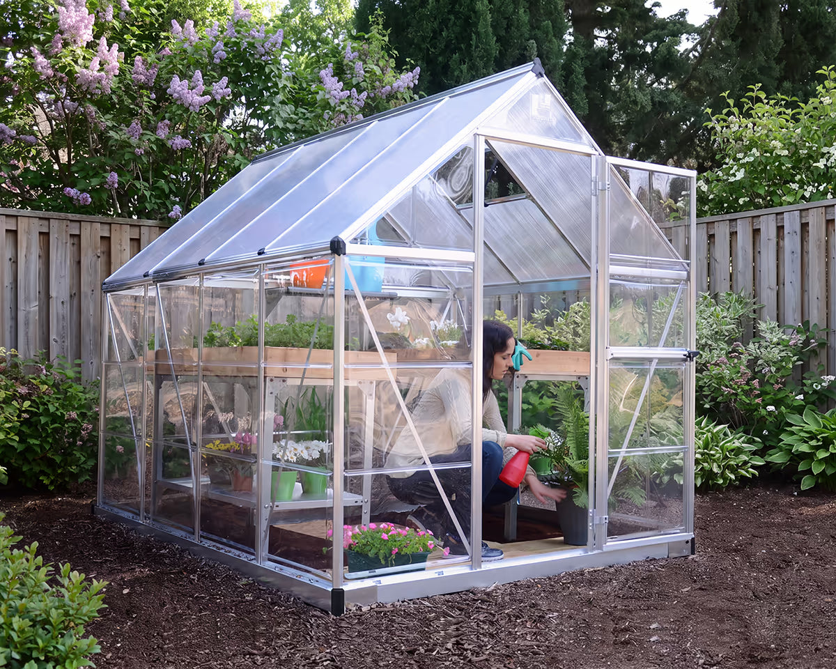 Hybrid 6 ft. x 8 ft. Greenhouse Silver Frame | Palram-Canopia 6' Wide Hybrid Canopia by Palram